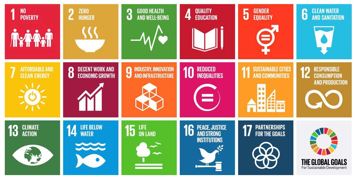 17 doelen van de VN