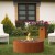 Galio Star Corten Automatik
